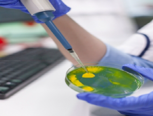 Lire la suite à propos de l’article Le microbiote: Applications cliniques